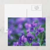 Viola Postkarte (Vorne/Hinten)