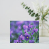 Viola Postkarte (Stehend Vorderseite)