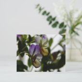 Viola Postkarte (Stehend Vorderseite)