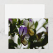 Viola Postkarte (Vorne/Hinten)