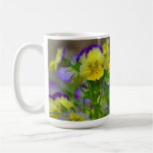 Viola Tasse (Links)