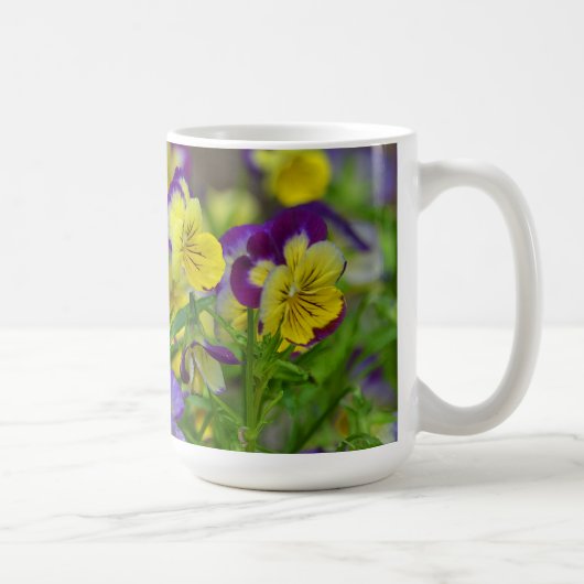 Viola Tasse (Rechts)