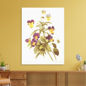 Viola Tricolor Leinwanddruck (Insitu (Wohnzimmer))
