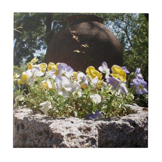 Violas in einem Steintrog. Fliese (Vorderseite)