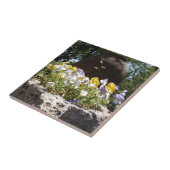 Violas in einem Steintrog. Fliese (Seite)