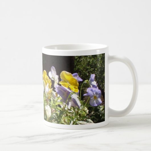 Violas in einem Steintrog. Kaffeetasse (Rechts)
