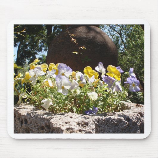 Violas in einem Steintrog. Mousepad (Vorne)