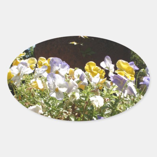 Violas in einem Steintrog. Ovaler Aufkleber (Vorderseite)