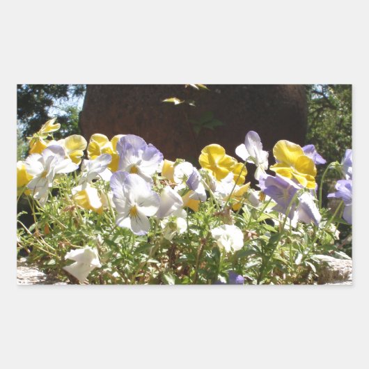 Violas in einem Steintrog. Rechteckiger Aufkleber (Vorderseite)