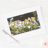 Violas in einem Steintrog. Rechteckiger Aufkleber (Umschlag)