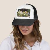 Violas in einem Steintrog. Truckerkappe (Beispiel)