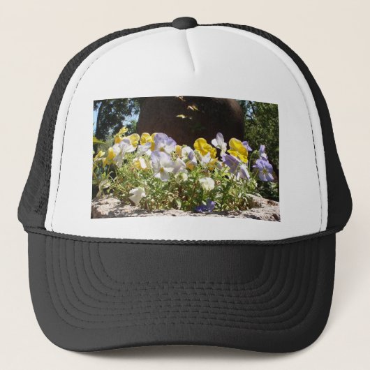 Violas in einem Steintrog. Truckerkappe (Vorderseite)