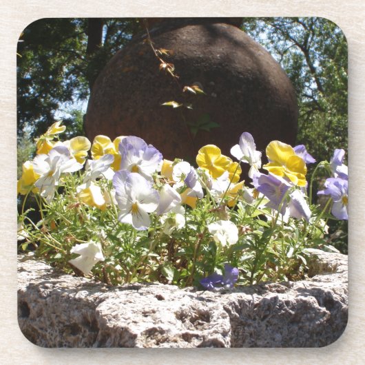 Violas in einem Steintrog. Untersetzer (Vorderseite)