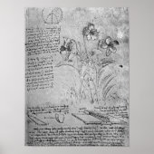 Violas-Studien Poster (Vorne)