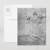 Violas-Studien Postkarte (Vorne/Hinten)