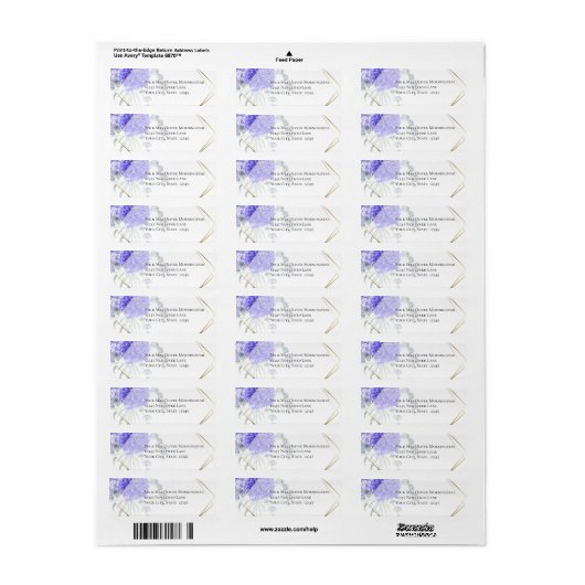 Violet Anemone Blume (Vorne)