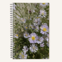 Violet Asters Notebook