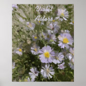 Violet Asters Poster (Vorne)