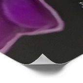 Violet-backed Starling Poster (Ecke)