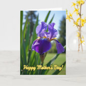 Violet Bloom Florale Karte (Gelbe Blume)