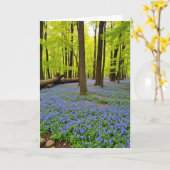 Violet Bloom Muttertagskarte Karte (Gelbe Blume)