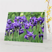 Violet Blue Sibirien, Ceasars Bruder Karte (Gelbe Blume)