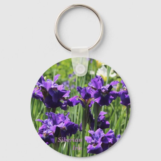 Violet Blue & White Siberian Iris Schlüsselanhänger (Vorderseite)