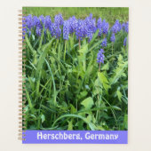 Violet Bluebells Fotografy - Herschberg, Deutschla Planer (Vorderseite)