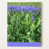 Violet Bluebells Fotografy - Herschberg, Deutschla Planer (Rückseite)