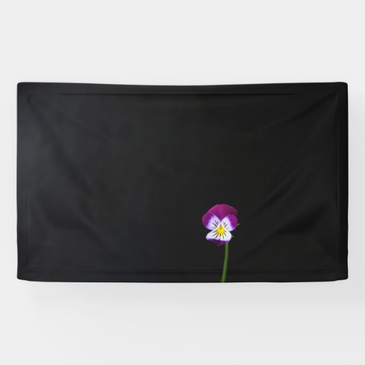 Violet Blume bnrcna Banner (Horizontal)