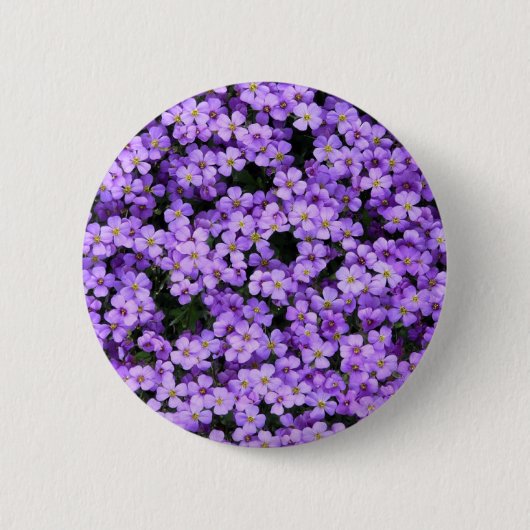 Violet-Blume Button-Violetten Button (Vorderseite)
