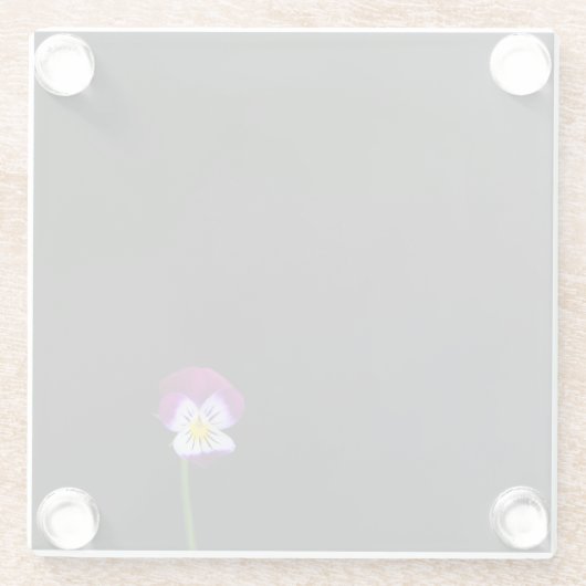 Violet-Blume Glasuntersetzer (Rückseite)