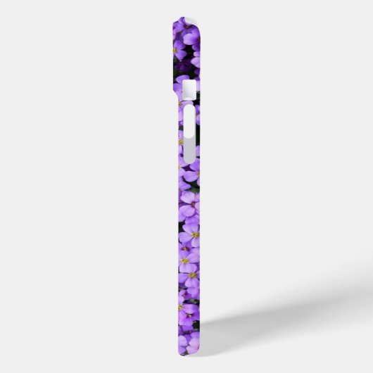 Violet Blume iPhone Case Violets (Rückseite / Links)