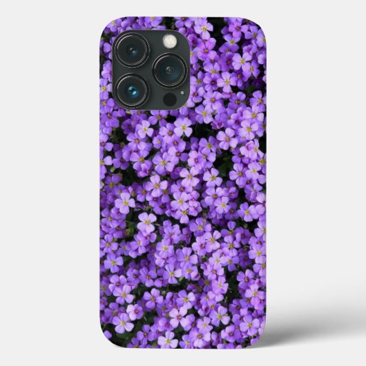 Violet Blume iPhone Case Violets Spring (Rückseite)