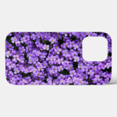 Violet Blume iPhone Case Violets Spring (Rückseite (Horizontal))