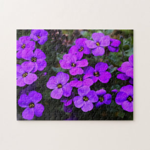 Violet Blume Jigsaw Puzzle Spring