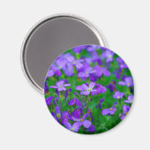 Violet Blume Magnet (Vorderseite/Rückseite)