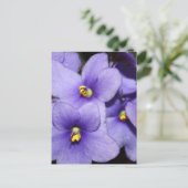 Violet Boquet Postkarte (Stehend Vorderseite)