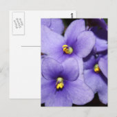 Violet Boquet Postkarte (Vorne/Hinten)