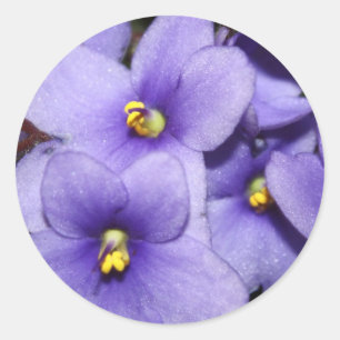 Violet Boquet Runder Aufkleber