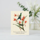 Violet Capped Wood Nymph Hummingbird Art Postcard Postkarte (Stehend Vorderseite)