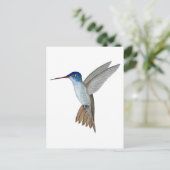 Violet-crowned hummingbird postkarte (Stehend Vorderseite)
