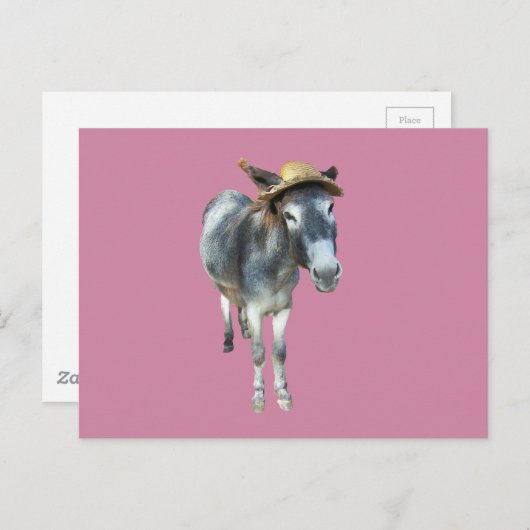Violet den Donkey in Strohhut mit Blume Postkarte (Vorne/Hinten)