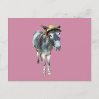 Violet den Donkey in Strohhut mit Blume Postkarte