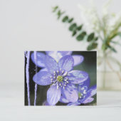 Violet Dreams Postkarte (Stehend Vorderseite)