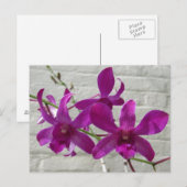 Violet Exotic Orchid Blume Postkarte (Vorne/Hinten)