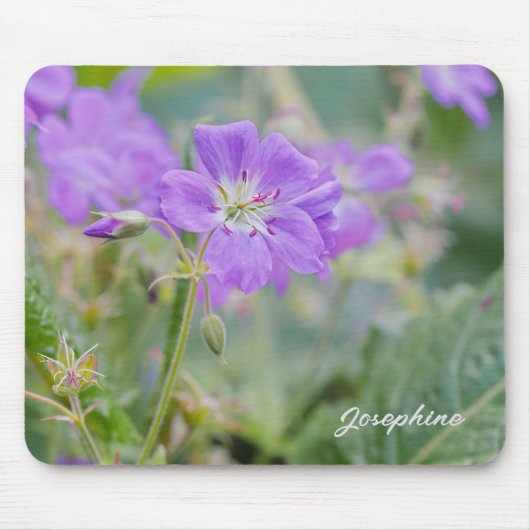 Violet Geranium Wildblume Blumenfloral Foto mit Na Mousepad (Vorne)