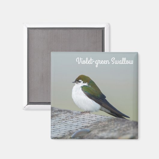 Violet Grüne Schlucht Magnet (Vorderseite/Rückseite)