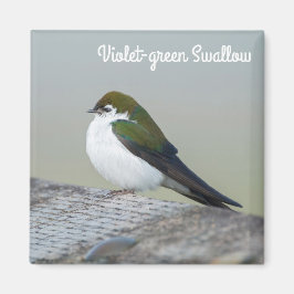 Violet Grüne Schlucht Magnet