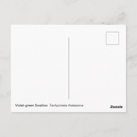 Violet Grüne Schlucht Postkarte (Rückseite)